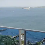 Shark 1514 Nuevo Conquistador