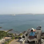 Shark 1514 Nuevo Conquistador