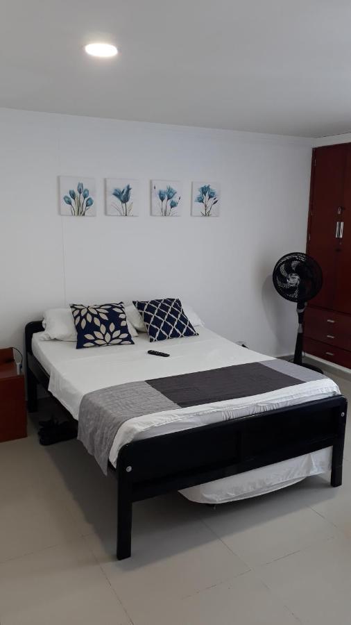 Shark 1514 Nuevo Conquistador